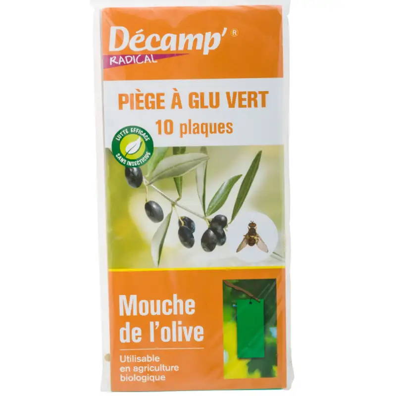 Piège naturel à glu contre les mouches de l'olive