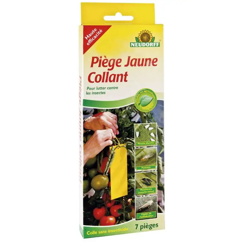 Piège à colle contre insecte 7 pieces