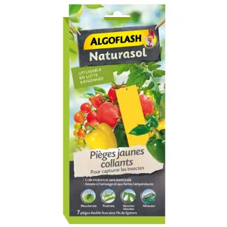 Pièges Jaunes Insectes Collants ALGOFLASH
