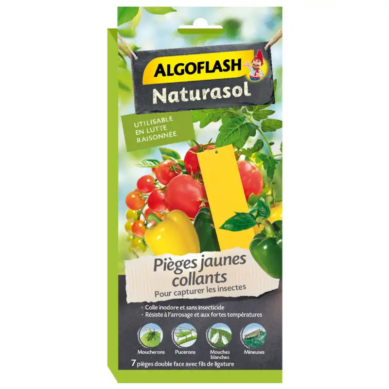 Pièges Jaunes Insectes Collants 7 pièces ALGOFLASH 