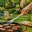 Fourchette de barbecue WERKA PRO en acier inoxydable