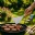 Spatule Barbecue WERKA PRO