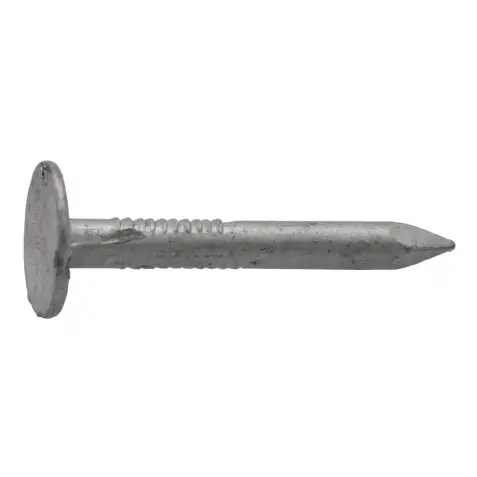 Pointe acier galvanisé Viswood tête plate