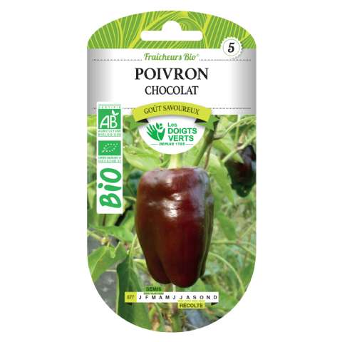 Graines poivron chocolat BIO Les Doigts Verts - Les doigts verts - 6,29€ Graines poivron chocolat BIO Les Doigts Verts