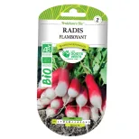 Graines de radis flamboyant BIO Les Doigts Verts