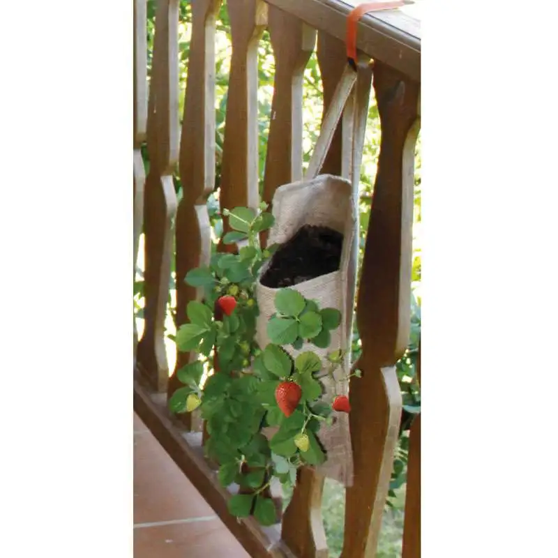 Sac à planter suspendu 2 pcs