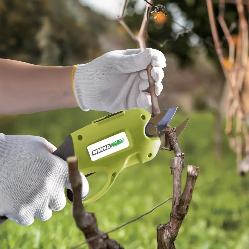 Sécateur électrique WERKA PRO 3,6V