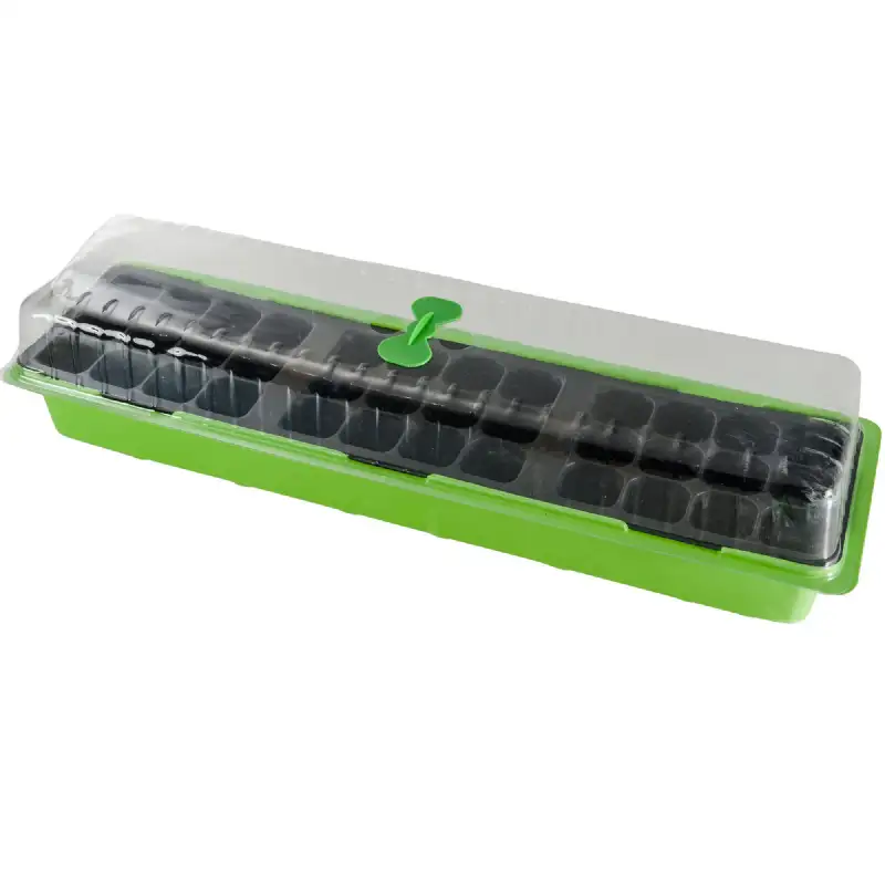 Serre de germination 56x16x6,5cm