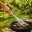 Spatule pour barbecue WERKA PRO