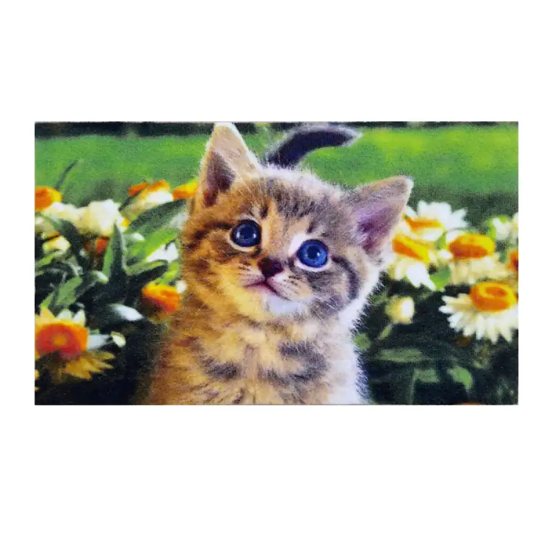 Tapis décoratif CHAT HDI