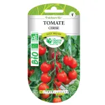 Graines tomate cerise BIO Les Doigts Verts