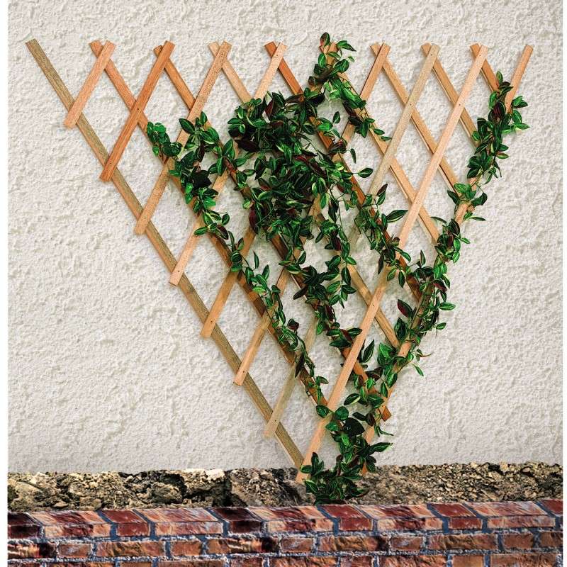 Treillis en bois naturel
