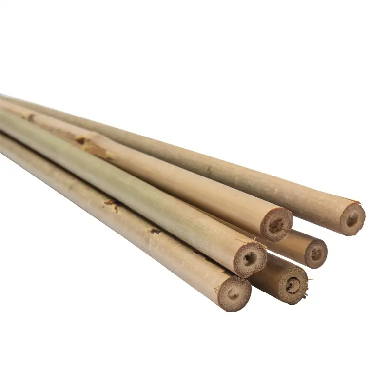 Lot de 6 tuteurs en bambou WERKA PRO
