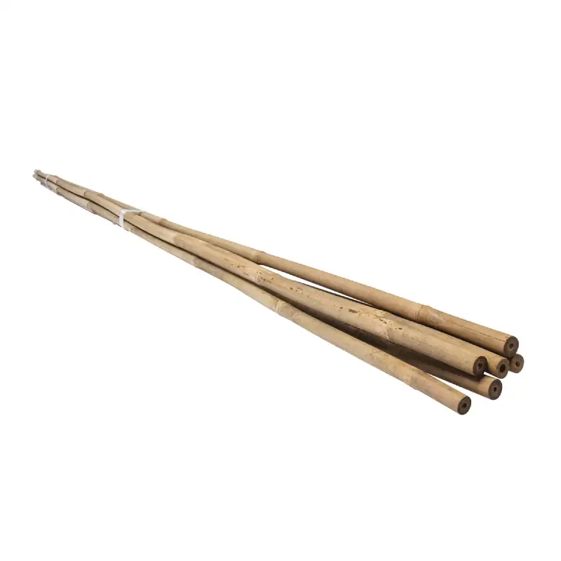 Lot de 6 tuteurs en bambou WERKA PRO