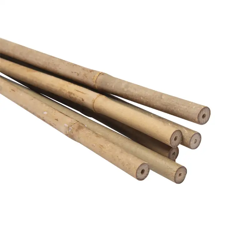 Lot de 6 tuteurs en bambou WERKA PRO