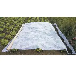 Voile d'hivernage blanc