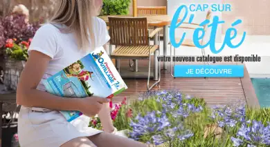 Fête des papa