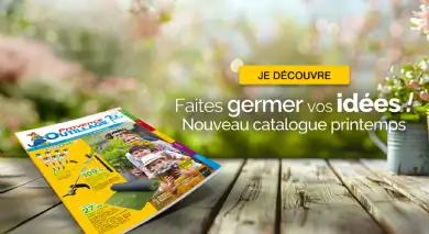 Catalogue printemps 2025