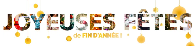 Joyeuses fêtes de fin d'année